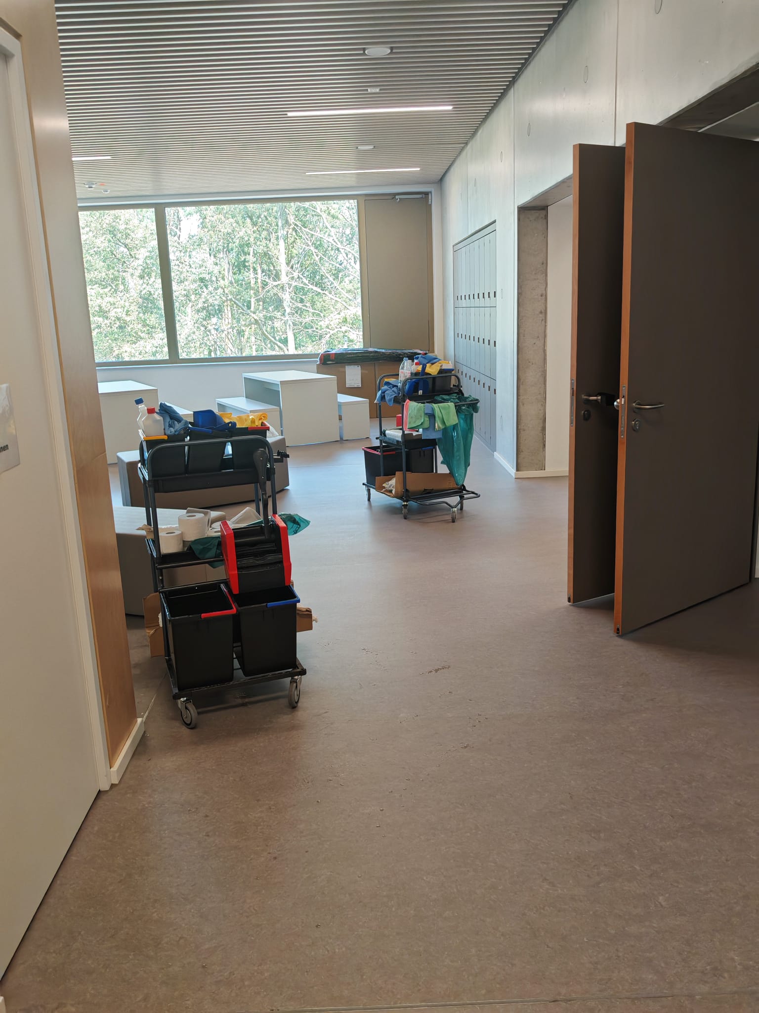 Fensterreinigung